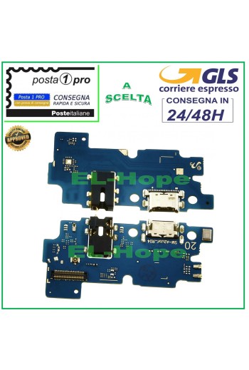 CONNECTEUR DE CHARGE SAMSUNG GALAXY A20 2019 A205F SM-A205F MICROPHONE CHARGEMENT USB