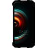 WP10