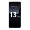 13 PRO 2210132G 2210132C