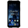 WP13